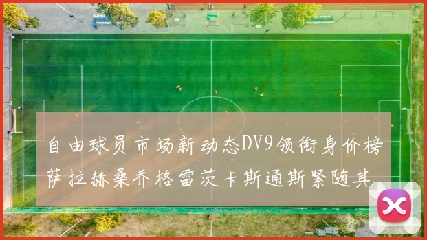 自由球员市场新动态DV9领衔身价榜萨拉赫桑乔格雷茨卡斯通斯紧随其后