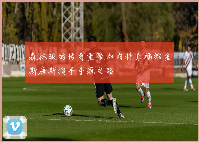 森林狼的传奇重聚加内特乐福维金斯唐斯携手夺冠之路