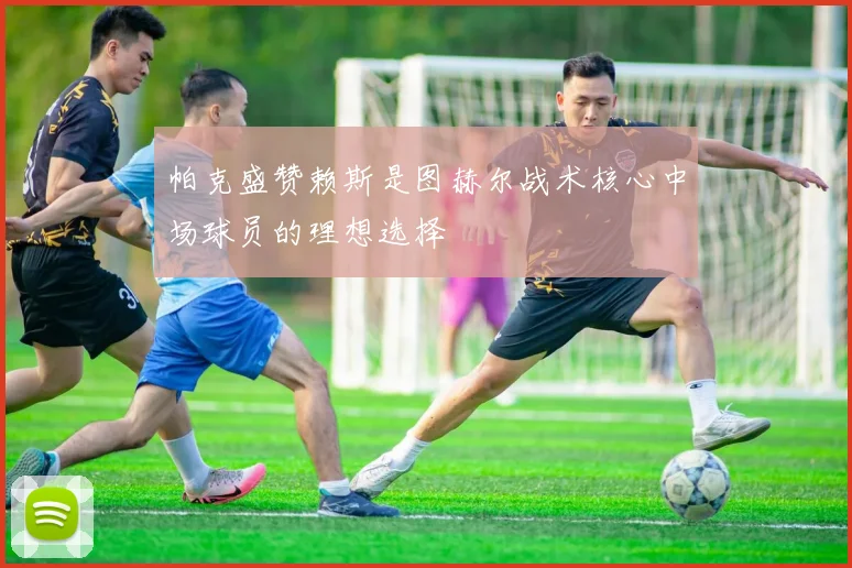 帕克盛赞赖斯是图赫尔战术核心中场球员的理想选择